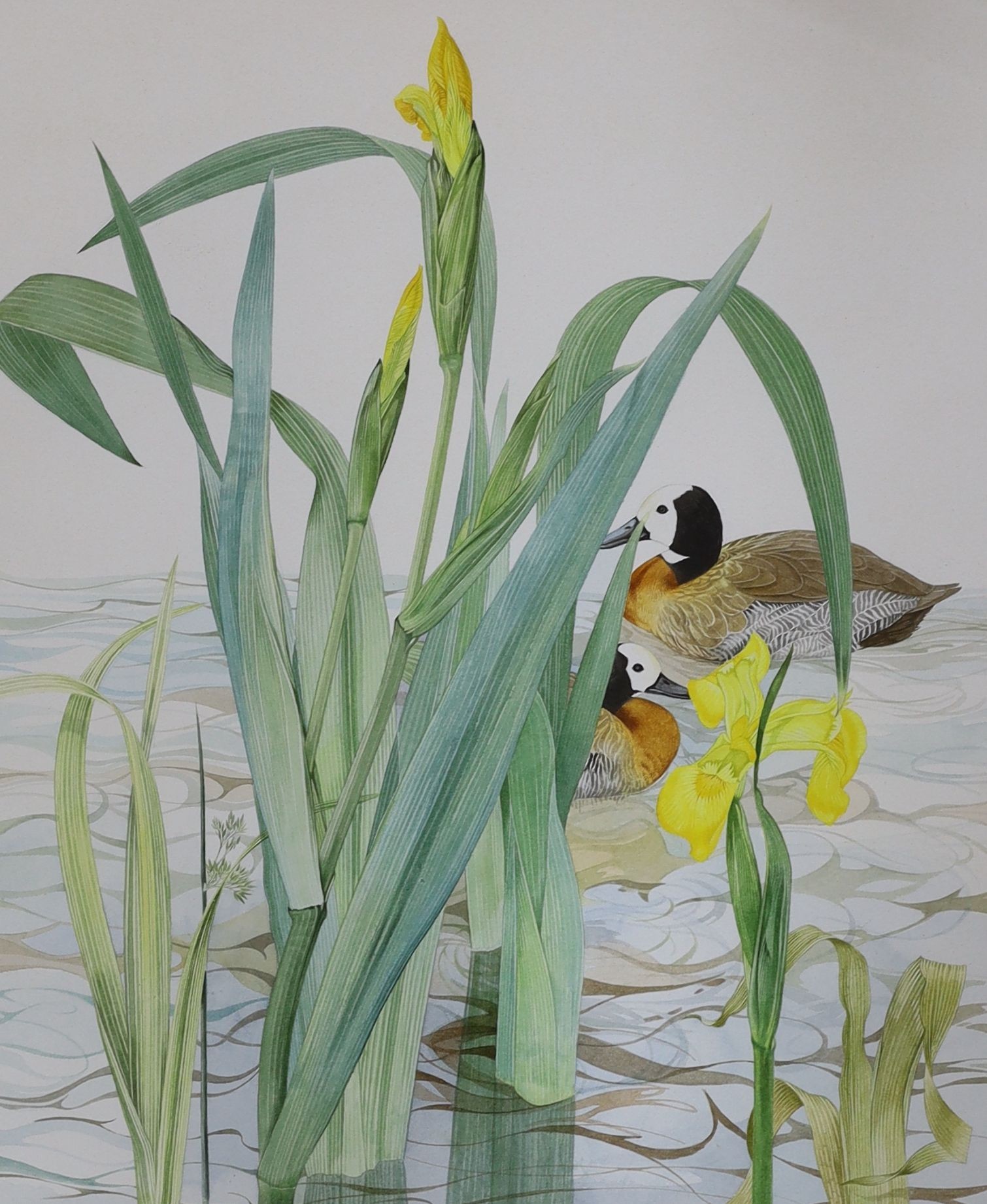 Kristen Rosenberg (b.1933), watercolour, Ducks and yellow irises, signed, 46 x 38cm